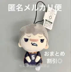 ハイキュー!! もちぴこ マスコット vol.2 ぬいぐるみ 田中龍之介