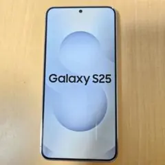 【模型】Galaxy S25 シルバーシャドウ【モックアップ】