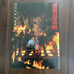 伊賀忍法帖　（映画パンフレット）