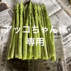 アッコちゃん様専用