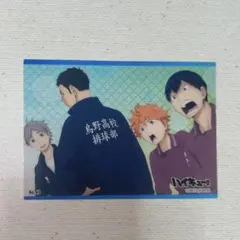 ハイキュー クリアカード トレカ 菅原孝支 澤村大地 日向翔陽 影山飛雄