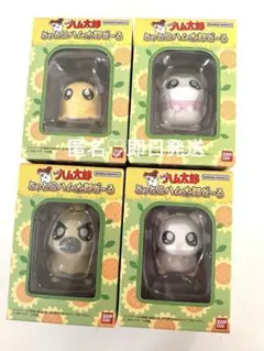 とっとこハム太郎どーる フロッキードール 全 ４種