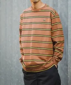 ラコステ×BEAMS ⭐︎別注 ボーダー ロングスリーブ Tシャツ