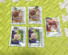 アイスの実 キーホルダー　5個セット