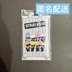 straykids run it アプグレ ラゲッジタグ