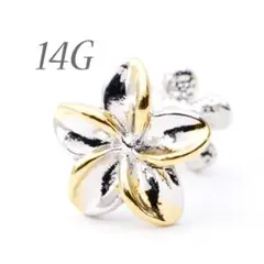 Ariel⚓様専用ページ