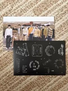 ALD1 EUPHORIA ポストカード シール