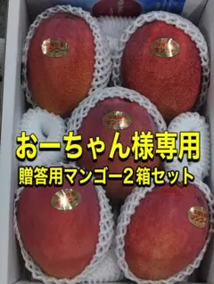 2.3宮古島産 島マンゴー2.3㎏ クール便⚠️今シーズンラスト - メルカリ