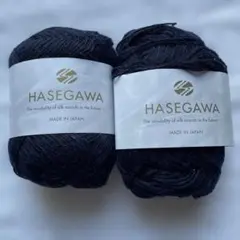 HASEGAWA YAYOI ヤヨイ ネイビー 1個と使いかけ