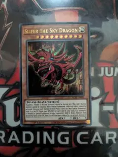 2026年最新】ファラオズウルトラレアの人気アイテム - メルカリ