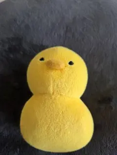 うさまる ひよこ ぬいぐるみ