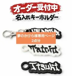 夢のかけら様専用ページ