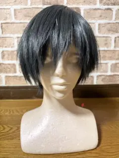 ブルーロック 糸師凛 コスプレ ウィッグ