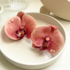 Item thumbnail for item 259f6dfe-248d-4ca2-8430-12eebdc20f9c