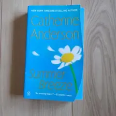 Catherine Anderson Summer Breeze