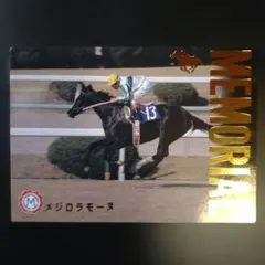 メジロラモーヌ、95 メモリアルカード