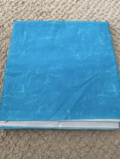 Item thumbnail for item 767fc7c2-f2c0-4edc-95b3-206ebf47d2c0