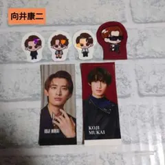 SnowMan　向井康二　RAYS　音故知新　ステッカー　6枚