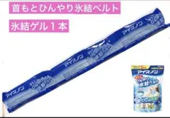 Item thumbnail for item 424f095d-c123-47a4-bec0-2fa57e99a125