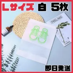 Item thumbnail for item c00309cf-f979-406d-b94b-a751ec8a1a95