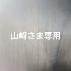 Item thumbnail for item cb0e1b7d-51ee-4a0a-9444-e65192514d1a