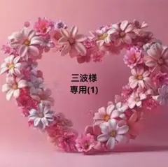 三波様 リクエスト 9点 専用(1)