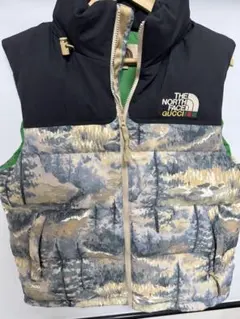 【GUCCI×North Face】 限定品 コラボダウンベスト 水島翔のサムネイル