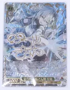 ヴァイスシュヴァルツ 湖上の氷精チルノ SP サイン 1枚 東方Project