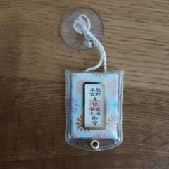 Item thumbnail for item 08ec4da9-e98d-4ac4-b0c0-268e837ea889