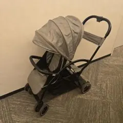 これを見つけた人はラッキー！】 2-seater next ※配送不可 - メルカリ
