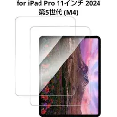 iPad Pro 11インチ 2024 第5世代 (M4) 用ガラスフィルム2枚