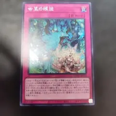 mtg水位上昇 中国語 - メルカリ