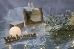 【本日限定】オーガンジーライトセット【5m】led3m30球　ウェルカムスペース