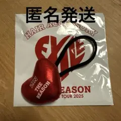 EXILE 2025 THE REASON 陣　ヘアゴム　カプセル