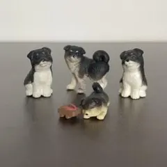 柴犬 カプセルトイ