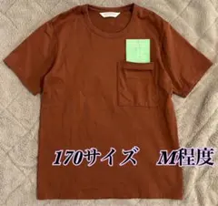 ビューティーフルピープルQOLtag T-shirtビッグタグ ポケットTシャツのサムネイル