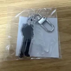 SEVENTEEN カプセルトイ　アクキー　ディノ