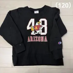 Champion トレーナー　120