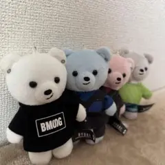 リョウキクマ　セット売り