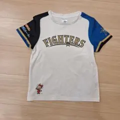 北海道日本ハムファイターズ Tシャツ