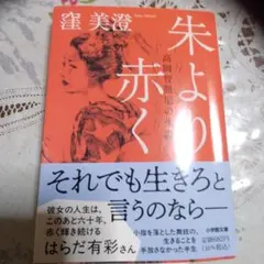 朱より赤く 澁美澄著