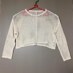 moment+ クロップド丈 メッシュニット 長袖 アイボリーのサムネイル