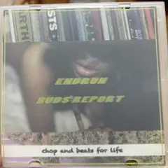 ENDRUN BUDS REPORT CD