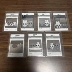 Kkamung&Angto カムンとアント カフェ ポストカード Kkamung&Angto カムンとアント カフェ ポストカード - メルカリ