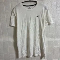ホリスター ワンポイント刺繍 Tシャツ ホワイト M相当サイズ トップス メンズ