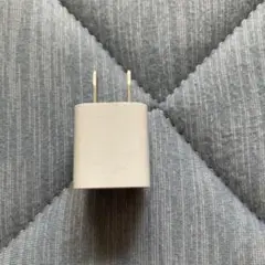 アダプタ純正　アップル