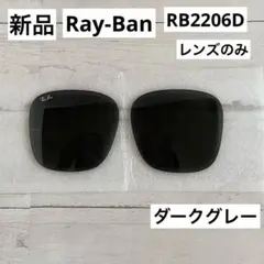 新品 レイバン RB2206D サングラス 純正 ダークグレー 交換レンズ