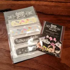 straykids スキズ エコパ アプグレ 特典　SKZOO