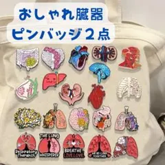 ２点　臓器　ピンバッジ　ピンズ　ブローチ　腎臓　肺　内臓　医師　看護師