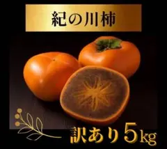 2026年最新】和歌山県 紀の川柿の人気アイテム - メルカリ